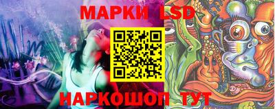 гашик Краснознаменск
